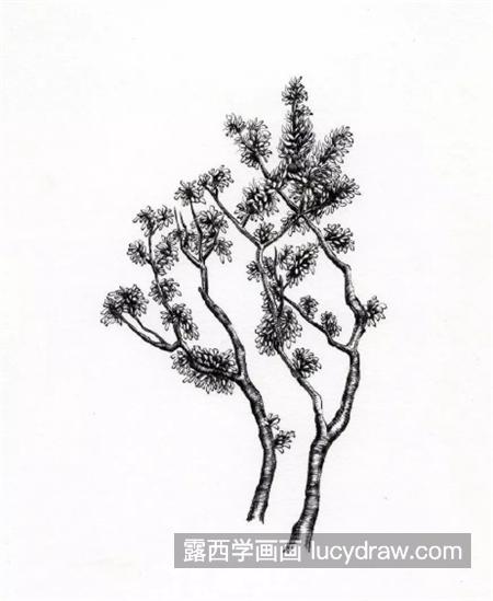 怎么画两棵树？具体的钢笔画步骤有哪些？