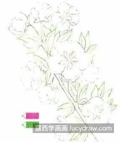 桃花朵朵怎么画？彩铅绘画步骤有哪些？