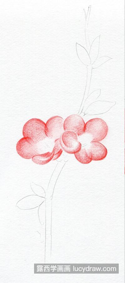 海棠花简笔画 颜色图片