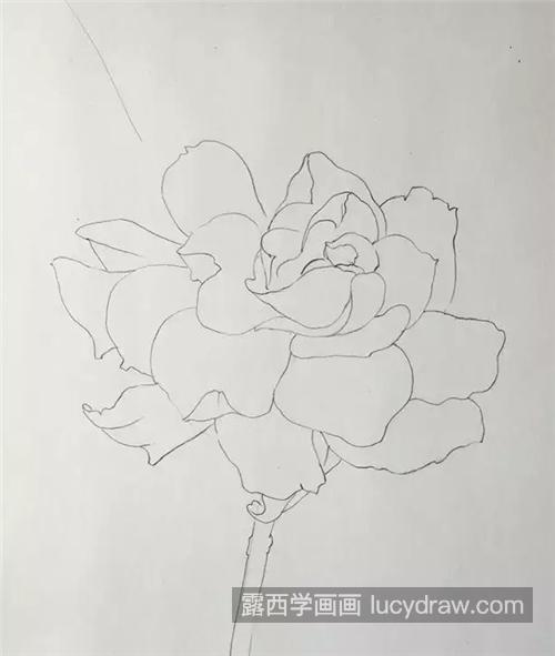 栀子花怎么画？教你画一朵纯洁无瑕的栀子花