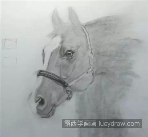 骏马怎么画？马儿头像的素描刻画方法是什么？