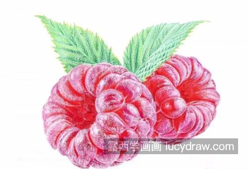 树莓怎么画？多汁的山莓绘画步骤有哪些？