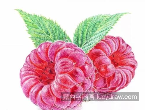 树莓怎么画？多汁的山莓绘画步骤有哪些？