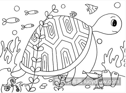 海龟怎么画？儿童画步骤有几步？