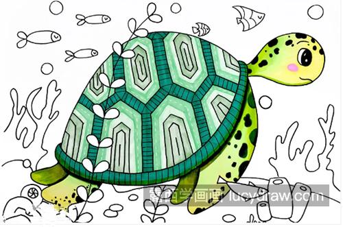 海龟怎么画？儿童画步骤有几步？