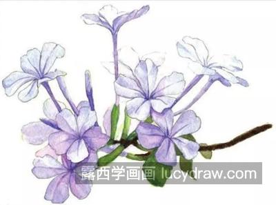 紫色小花怎么画？一幅画里多朵花的画法是什么？  