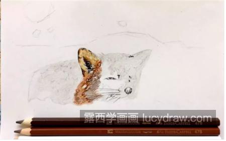 雪山飞狐怎么画？小狐狸的绘画步骤有几步？