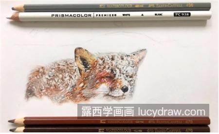 雪山飞狐怎么画？小狐狸的绘画步骤有几步？