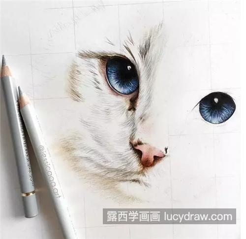 乖巧的猫咪怎么画？具体的彩铅绘画步骤是什么？