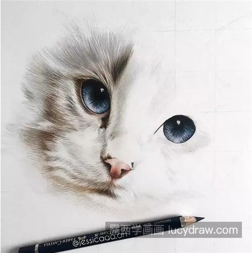 乖巧的猫咪怎么画？具体的彩铅绘画步骤是什么？