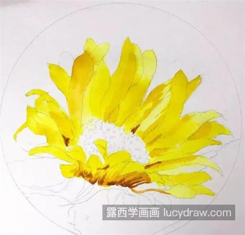 水彩菊花怎么画？教你画一朵黄色菊花