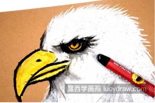 老鹰如何画？儿童画老鹰的教程是什么？