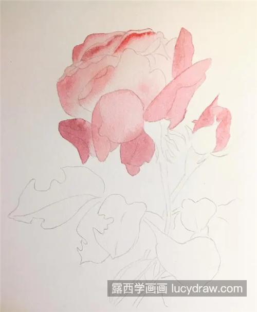水彩玫瑰的画法是什么？具体有哪些绘画步骤？