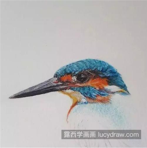 蓝色小鸟怎么画？如何画出逼真的羽毛效果？