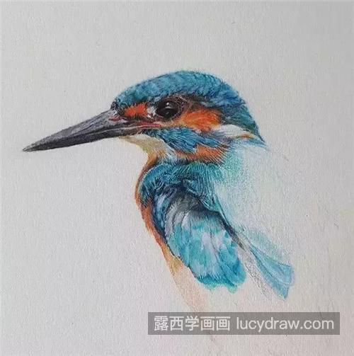 蓝色小鸟怎么画？如何画出逼真的羽毛效果？