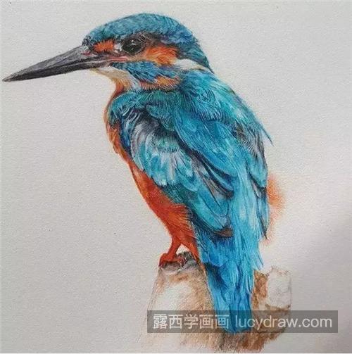 蓝色小鸟怎么画？如何画出逼真的羽毛效果？