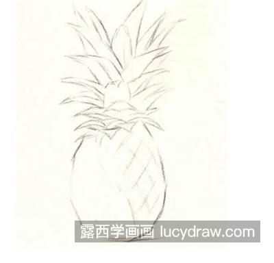 葡萄菠萝怎么画？夏季水果素描画法是什么？