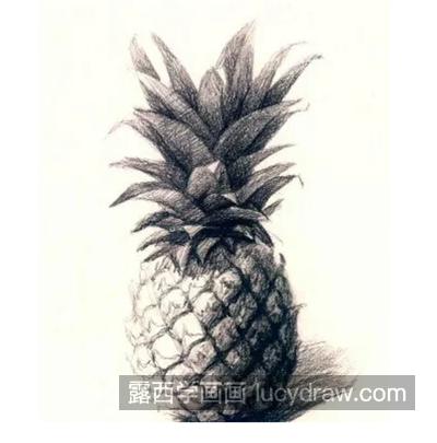 葡萄菠萝怎么画？夏季水果素描画法是什么？