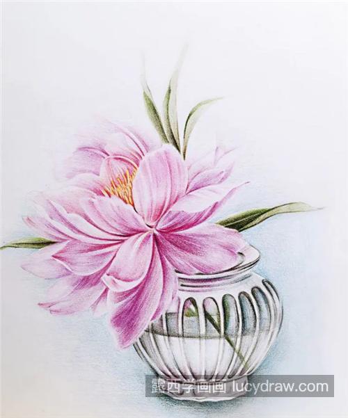 复古花瓶中的芍药怎么画？详细的彩铅画步骤有哪些？