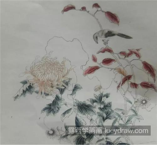 菊花枝上的伯劳鸟怎么画？详细的过程图有哪些？