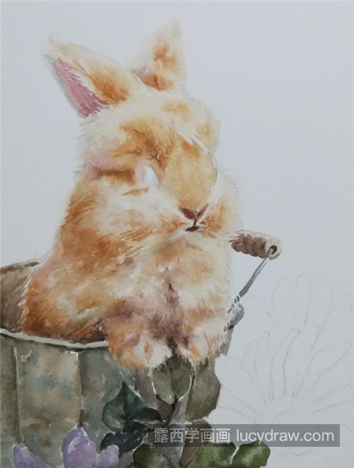 毛茸茸的兔子怎么画？兔子水彩画步骤有几步？