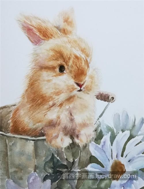 毛茸茸的兔子怎么画？兔子水彩画步骤有几步？