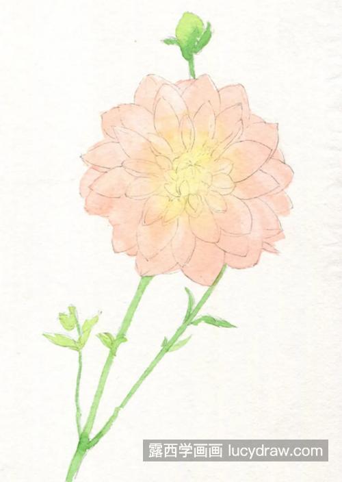 东洋菊怎么画？水彩和彩铅如何结合绘画？