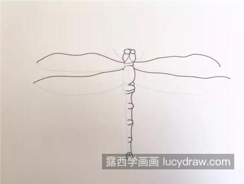 蜻蜓怎么画？蚂螂的水彩画步骤有哪些？