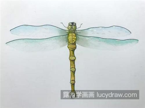 蜻蜓怎么画？蚂螂的水彩画步骤有哪些？