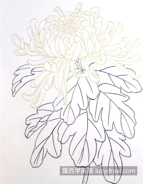 金黄色菊花怎么画？如何用圆珠笔画出工笔效果？