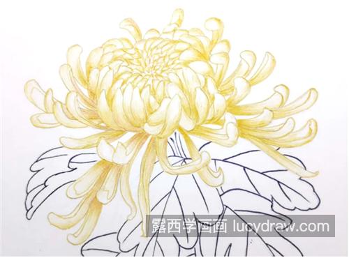 金黄色菊花怎么画？如何用圆珠笔画出工笔效果？