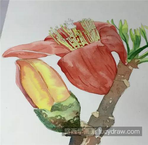 怎么画木棉花？琼枝水彩画步骤有哪些？