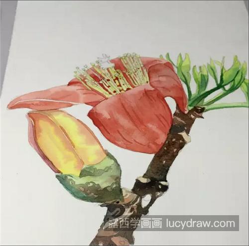 怎么画木棉花？琼枝水彩画步骤有哪些？