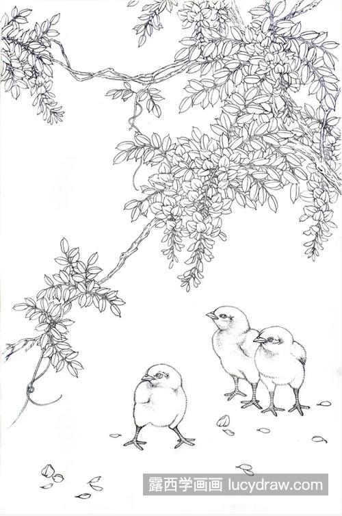 紫藤花下的小鸡仔怎么画？超级详细的工笔画教程分享