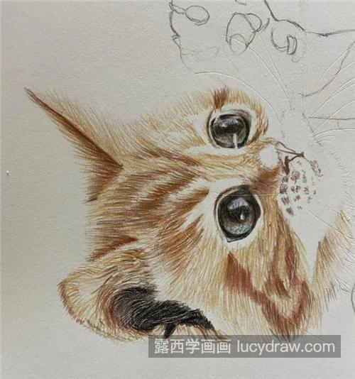 3D小猫咪怎么画？教你画一只奶凶的小黄猫