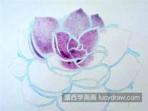 多肉植物怎么画？紫牡丹水彩画法是什么？