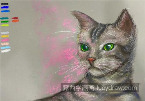 色粉画猫怎么画？有哪些绘画步骤？