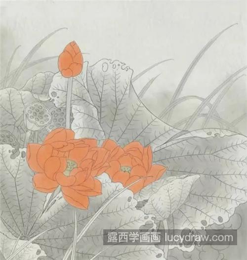 红色荷花怎么画？处州莲的工笔画法是什么？