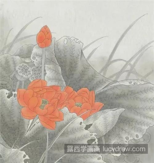 红色荷花怎么画？处州莲的工笔画法是什么？