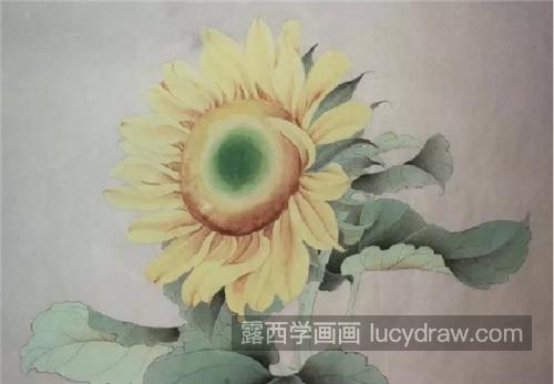 向日葵怎么画？工笔向日葵的染色方法是什么？