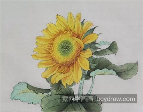 向日葵怎么画？工笔向日葵的染色方法是什么？