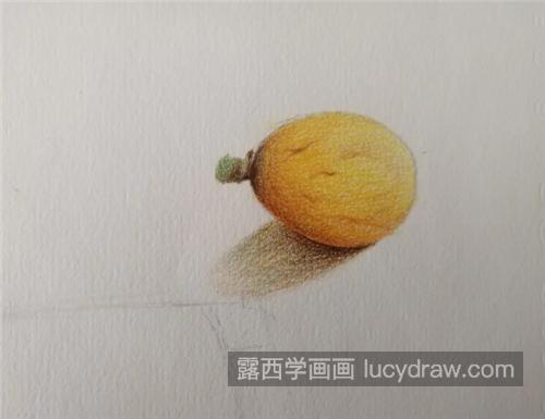 古书枇杷怎么画？怎么用彩铅进行绘画？