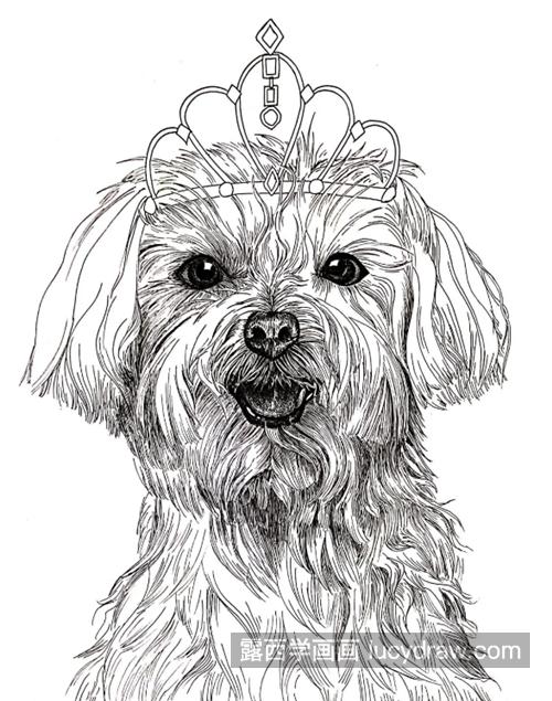 带皇冠的狗狗怎么画？素描教程是什么？