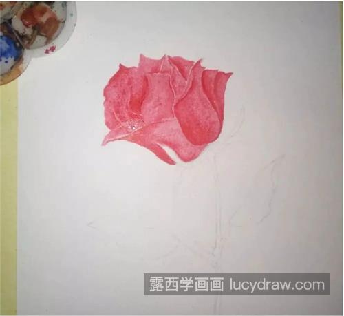 红玫瑰怎么画？水彩绘画步骤有哪些？