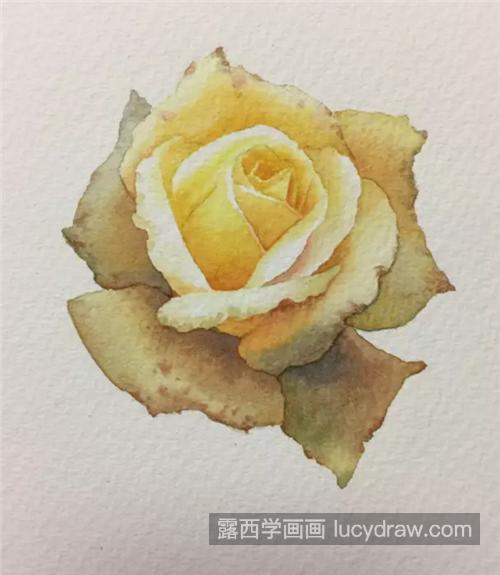 黄色玫瑰花怎么画？黄玫瑰的核心画法是什么？