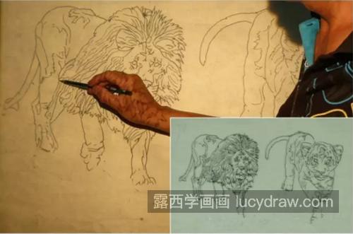 狮子怎么画？工笔狮子绘画技法步骤解析