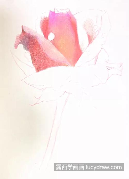 带水珠的玫瑰花怎么画？如何画出娇艳欲滴的花朵？