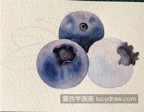 蓝莓怎么画？龙果水彩画步骤有几步？