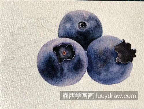 蓝莓怎么画？龙果水彩画步骤有几步？