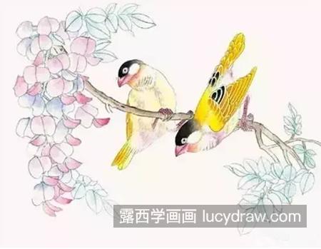 金丝雀怎么画？芙蓉鸟的绘画步骤有几步？